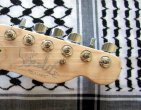 Telecaster Plus Bakelite Natural Ash