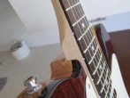 Telecaster Thinline Bakelite Rosewood Top 2