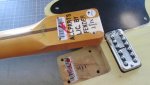 Telecaster Bakelite La Cabronita Especial Butterscotch Aged blonde II