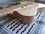 Telecaster Bakelite La Cabronita Especial All Maple Birdseye 3PUP